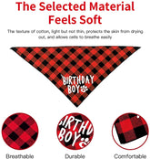 KUTKUT Boy Bandana and Hat Set “Birthday Boy” Print Plaid Dogs Party Supplies Triangle Scarf Bibs for Small Medium Large Pets Red - kutkutstyle